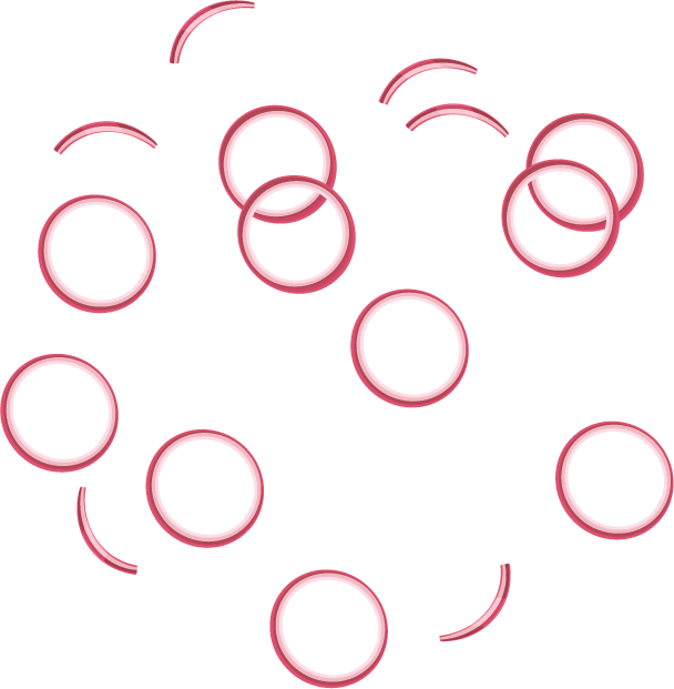 Pizza topping : Onion Rings